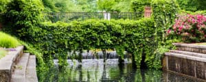 Park area with small waterfall into pond with ivy on bridge